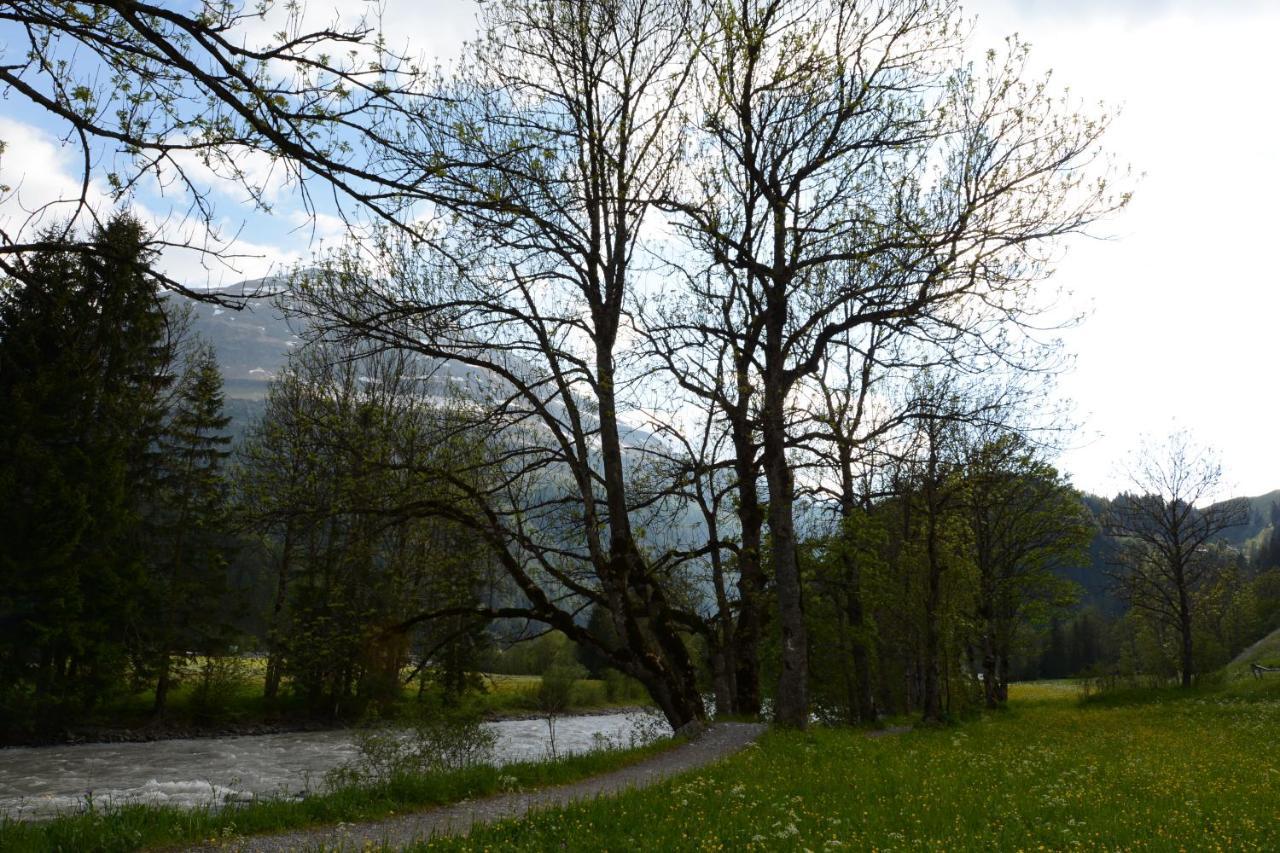 Gasthuis Alpenblick Steeg